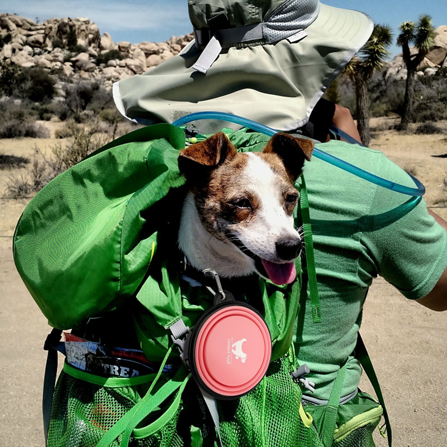 Furbaby Collapsible Dog Bowls for Travel