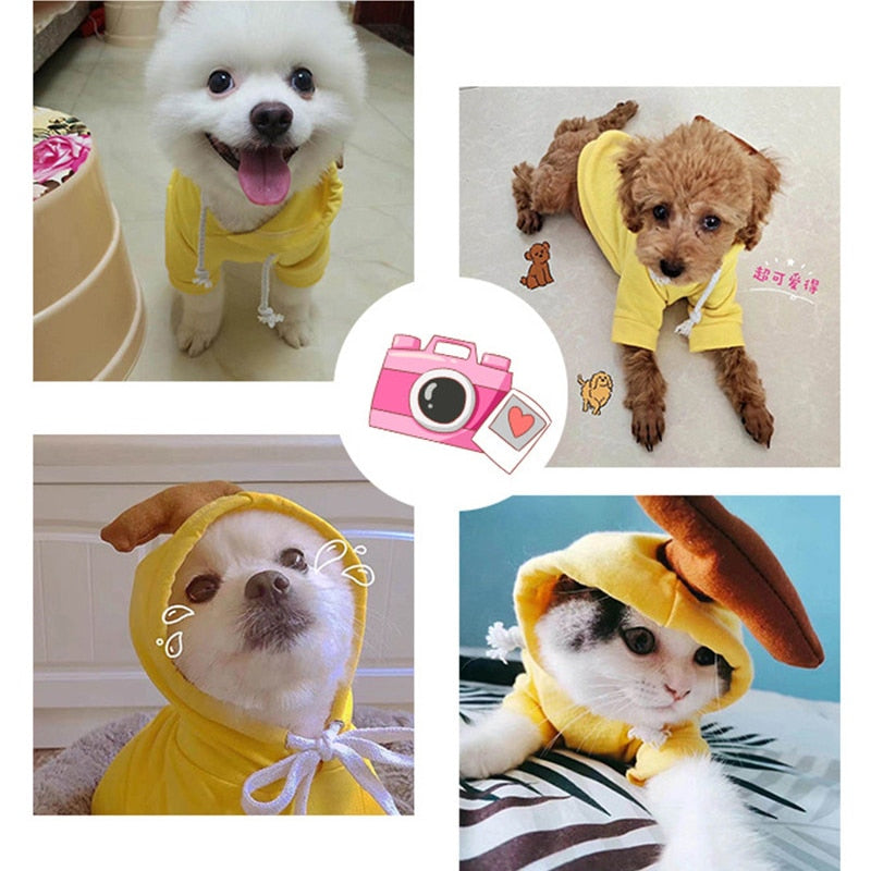 Cute Dog Clothes