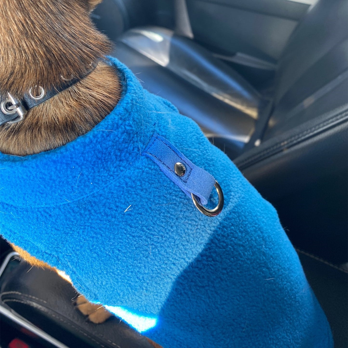 Winter Soft Fleece Pet Dog jacket