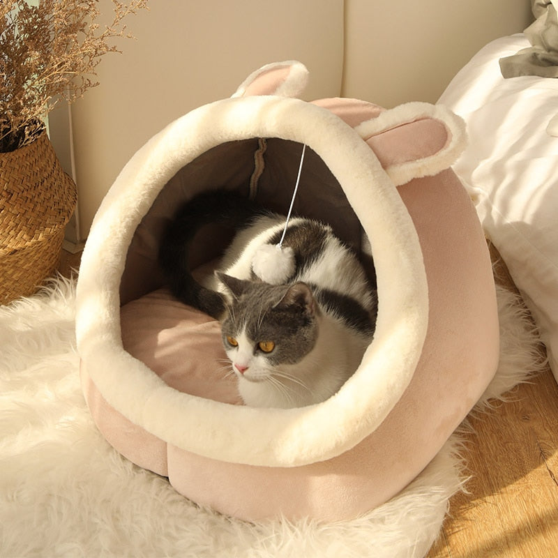 Sweet Cat Bed Cozy Kitten Lounger