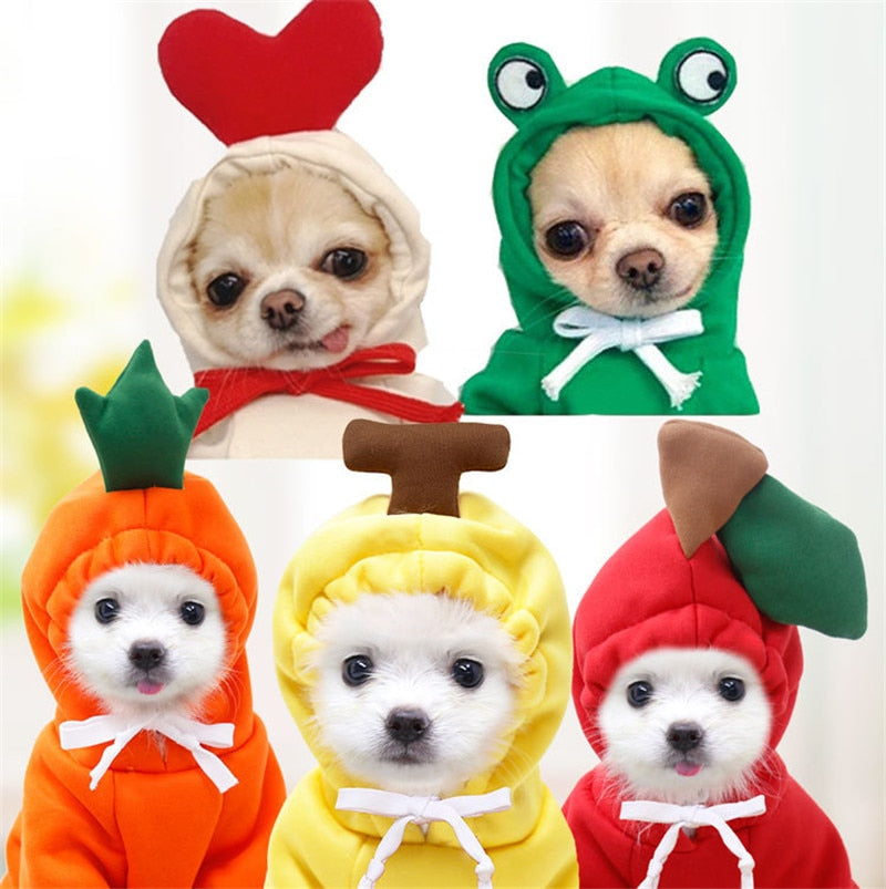 Cute Dog Clothes