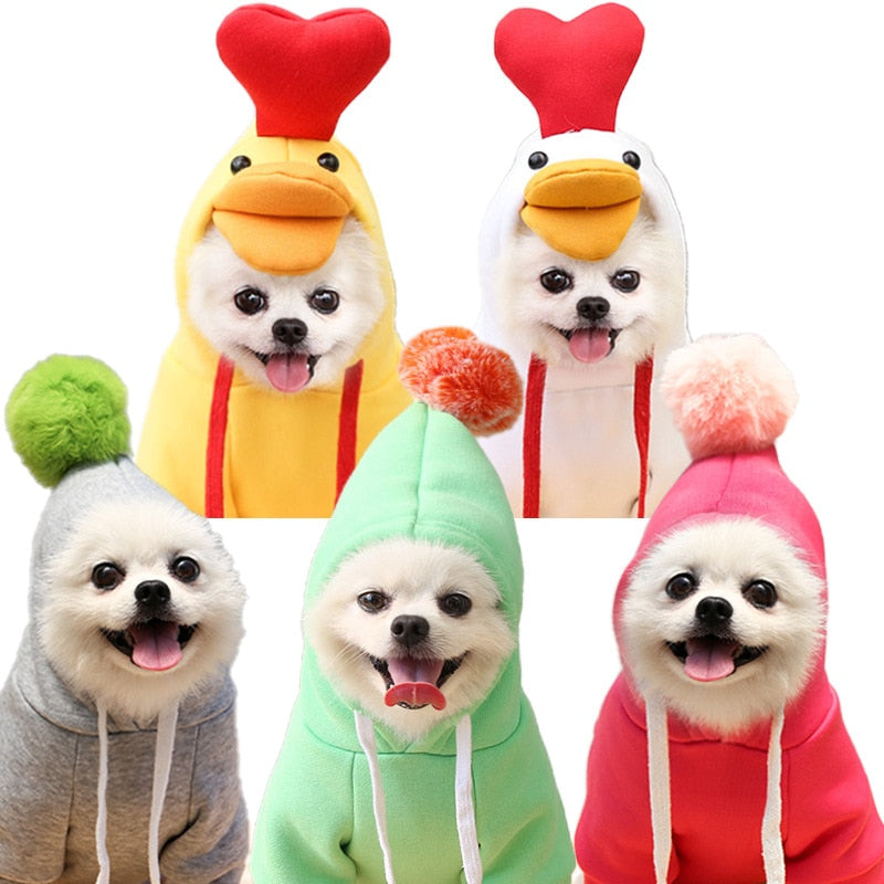 Cute Dog Clothes