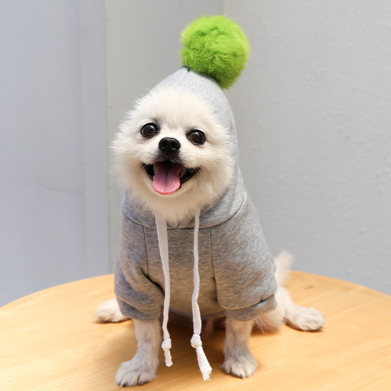 Cute Dog Clothes