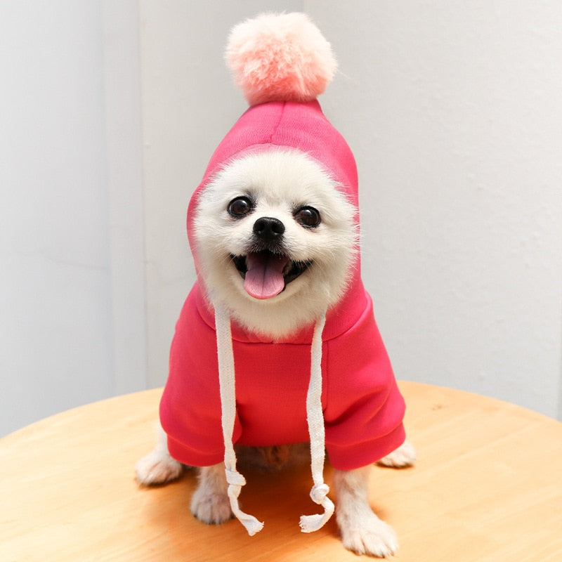 Cute Dog Clothes